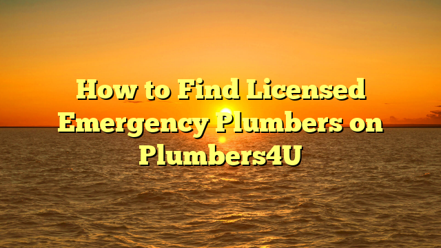 How to Find Licensed Emergency Plumbers on Plumbers4U