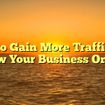 How to Gain More Traffic And Grow Your Business Online