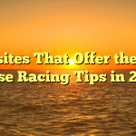 Websites That Offer the Best Horse Racing Tips in 2022