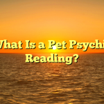 What Is a Pet Psychic Reading?
