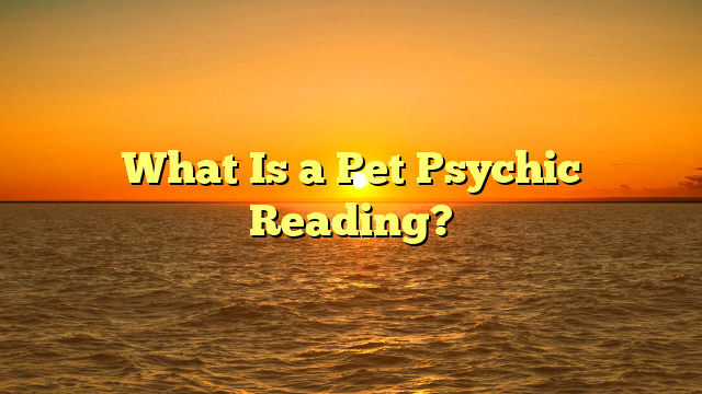 What Is a Pet Psychic Reading?