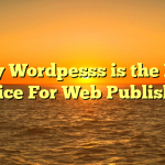 Why Wordpesss is the Best Choice For Web Publishers