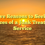 twelve Reasons to Seek the services of a Junk Treatment Service