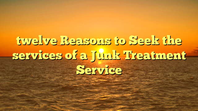 twelve Reasons to Seek the services of a Junk Treatment Service